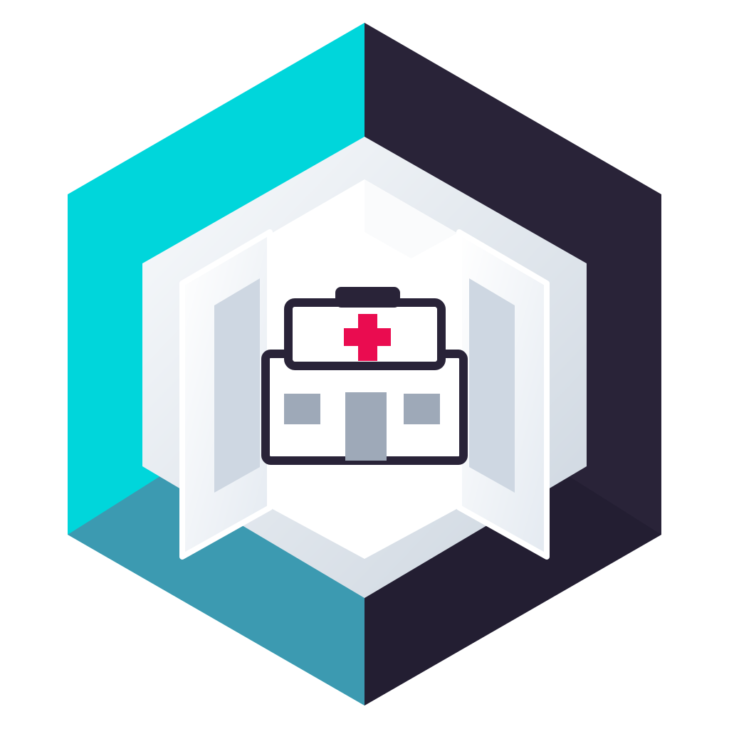 BP-08 Healthcare icon